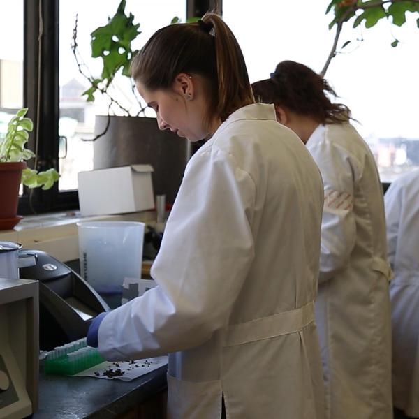 穿着白大褂在科学实验室工作的年轻女性