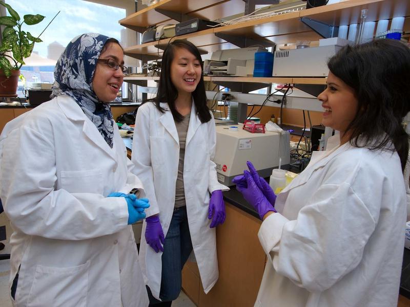 三位穿着白大褂的有色人种年轻女性在实验室里讨论一些事情