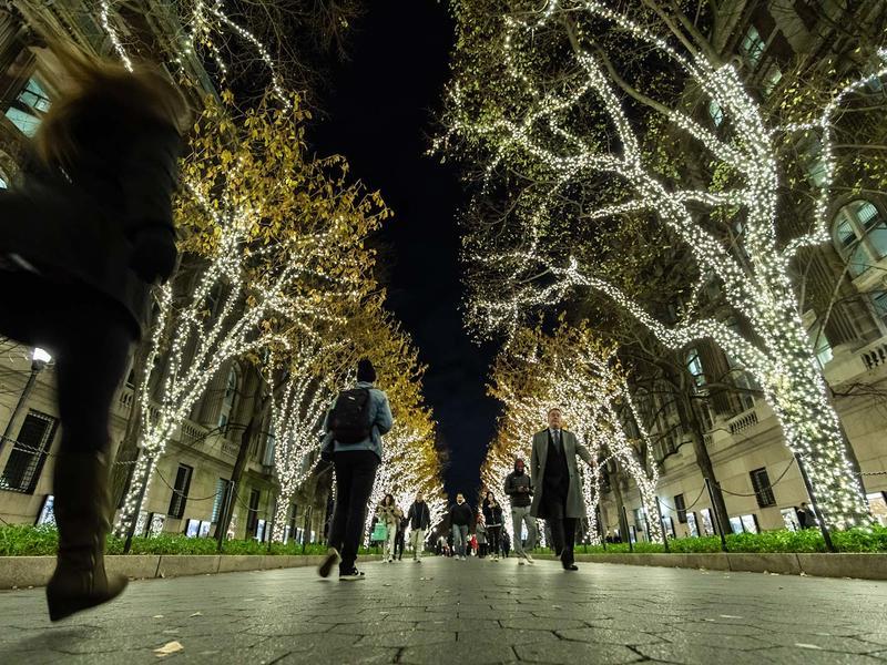 夜晚，哥伦比亚大学校园里一条铺砌的小路两旁的灯火通明的树木